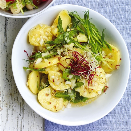 Grüner Kartoffelsalat mit Sprossen