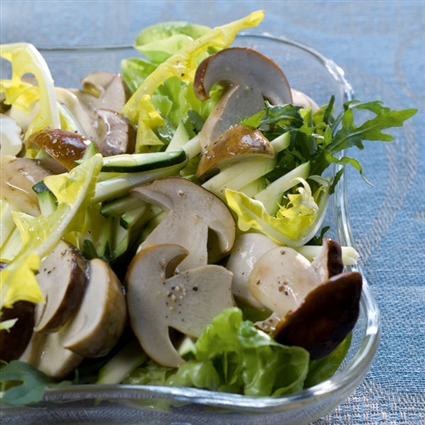 Steinpilzsalat