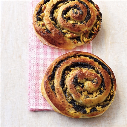 Tigerschnecken