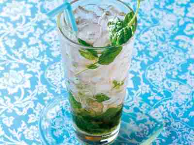 Mint Julep