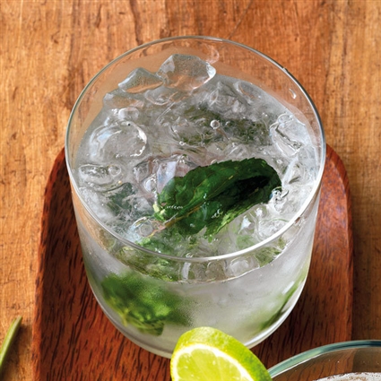 Kubanischer Mojito