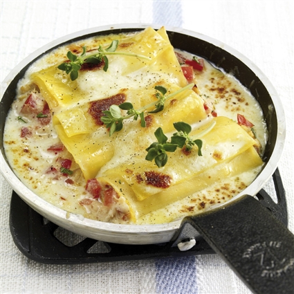 Thunfisch-Cannellonini