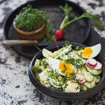 Kartoffelsalat mit Eiern und Joghurt-Mayonnaise