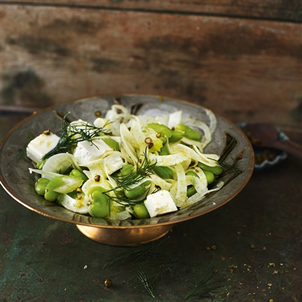 Fenchel-Bohnenkern-Salat mit Zitronen-Pfeffer-Dressing