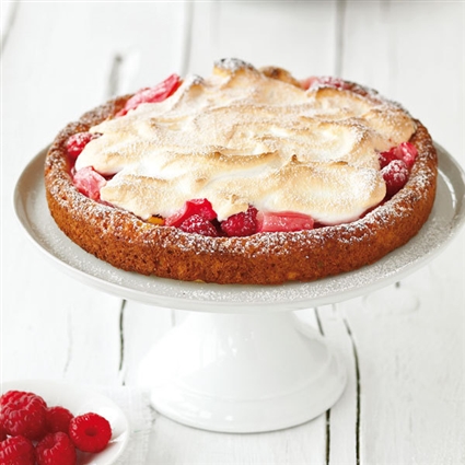 Rhabarber-Himbeer-Kuchen