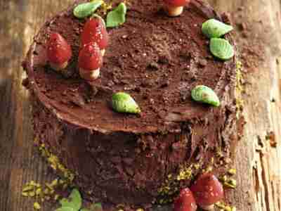 Schokoladentorte Baumstammtorte