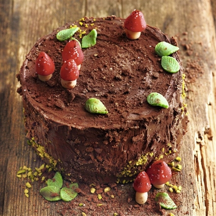 Schokoladentorte Baumstammtorte
