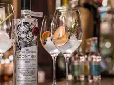 Loony Gin Tonic