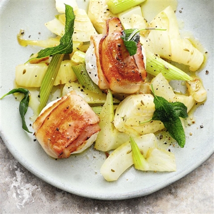 Fenchelsalat mit Ziegenkäse