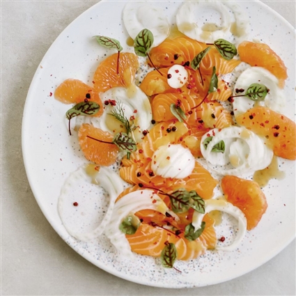 Lachs-Sashimi mit Fenchel und Grapefruit