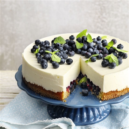 Glutenfreie Heidelbeer-Quarktorte