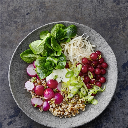 Nordic Bowl mit Dinkel