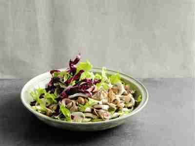 Radicchio-Pilz-Salat mit Maronen