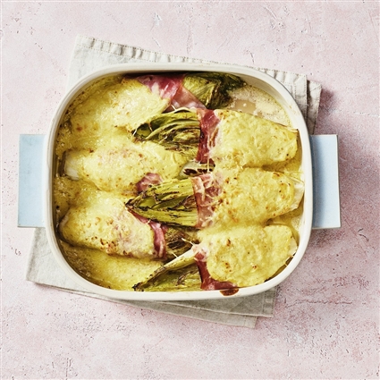 Laktosefreies Chicoréegratin mit Schinken