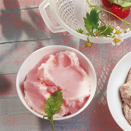 Grapefruitsorbet