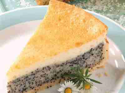 Mohn-Schmand-Torte