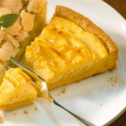 Apfelkuchen mit Zimtguss