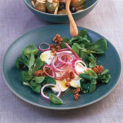 Marinierter Mozzarella