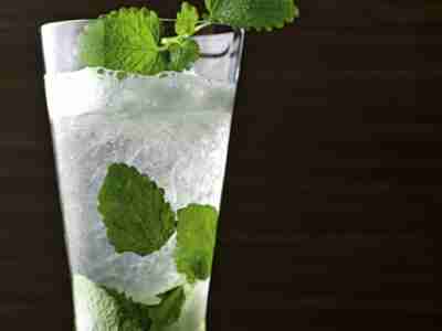 Lemonbalm Mojito