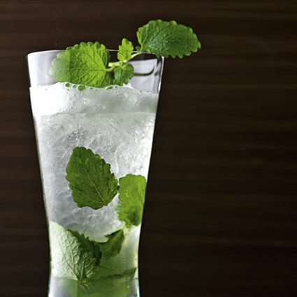 Lemonbalm Mojito