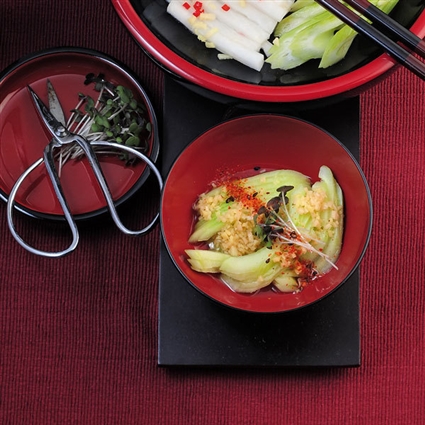Scharfer Gurkensalat mit Ingwer