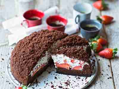 Schnelle Maulwurftorte