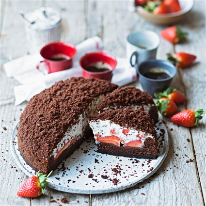 Schnelle Maulwurftorte