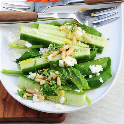 Gurken-Spinat-Salat