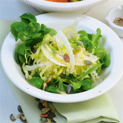 Fenchel-Chinakohl-Salat