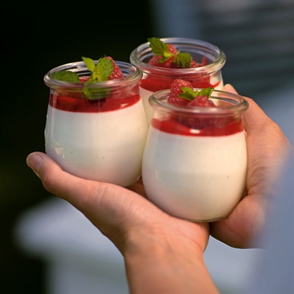 Zitronenmousse mit Fruchtsauce