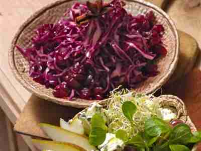 Blaukraut-Cranberry-Salat