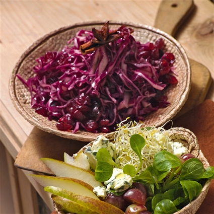 Blaukraut-Cranberry-Salat