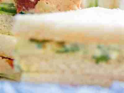 Sandwiches mit Thunfischcreme