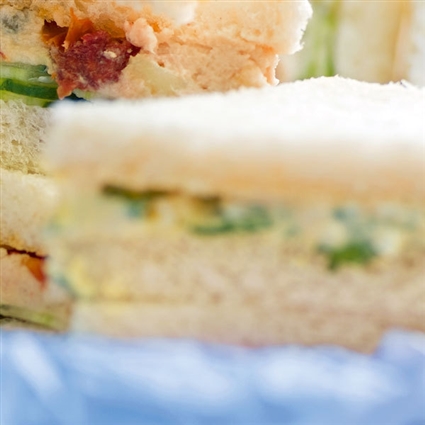Sandwiches mit Thunfischcreme