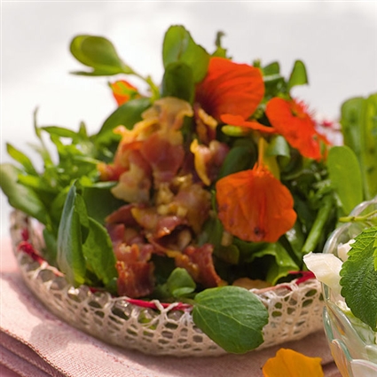 Wildkräutersalat mit Speck