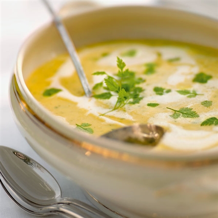 Kerbelcremesuppe mit Anis