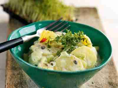 Kartoffelsalat mit Kresse und Kefir