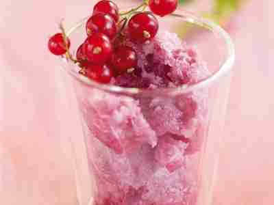 Johannisbeer-Sorbet