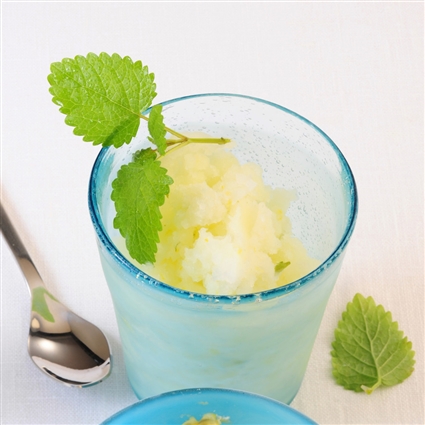 Zitronen-Melissen-Sorbet