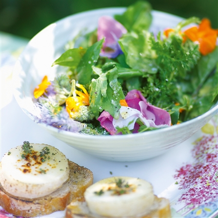 Kräuter-Blüten-Salat mit Ziegenkäse und Holundervinaigrette