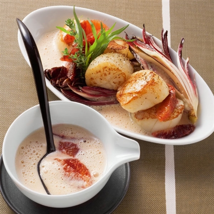Blutorangensauce zu gebratenen Jakobsmuscheln