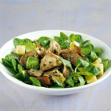 Feldsalat mit gebratenen Austernpilzen