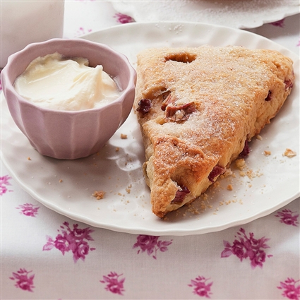 Rhabarberscones