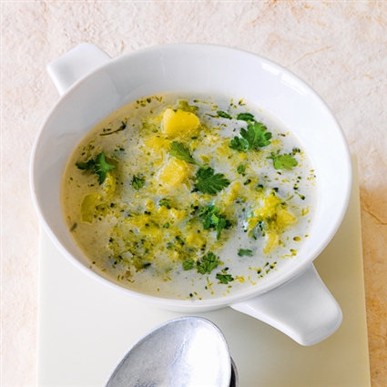 Brokkolisuppe mit Kerbel