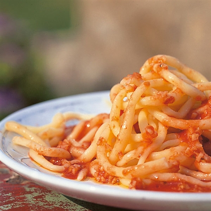 Dicke Spaghetti mit Tomaten-Knoblauch-Sauce