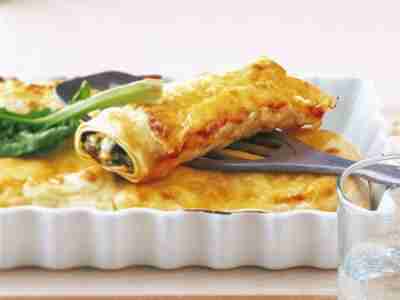 Cannelloni mit Spinat