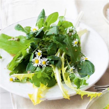 Wildkräutersalat mit Holunderblüten-Dressing