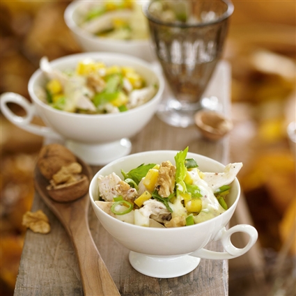 Geflügelsalat mit Mango