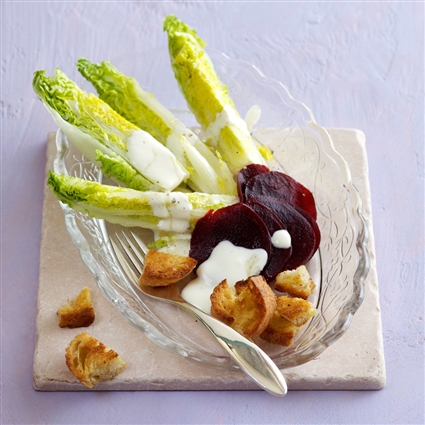 Römersalat mit Frischkäse