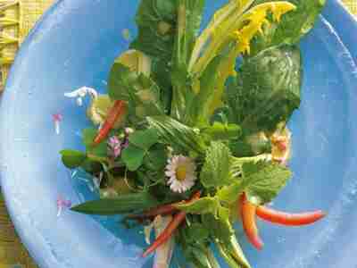 Wildkräutersalat mit Tomaten-Bärlauch-Dressing